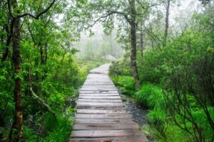 The Ultimate Guide to Crafting Effective Prompts