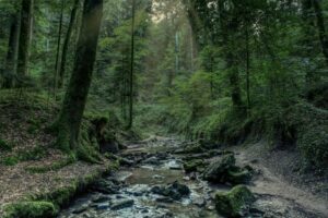 Exploring Named Entity Recognition in Modern NLP Systems