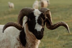 What Is RAM and Why Does It Matter for Your Computer